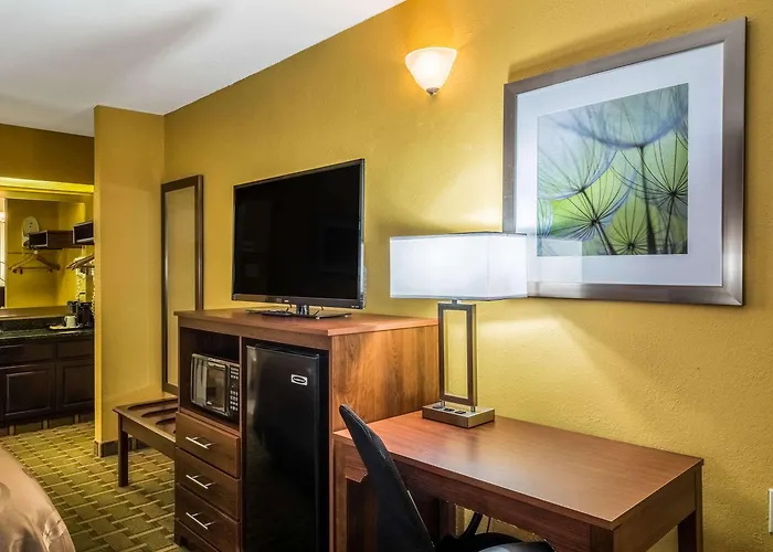 Best Black Owned Hotels in Washington DC